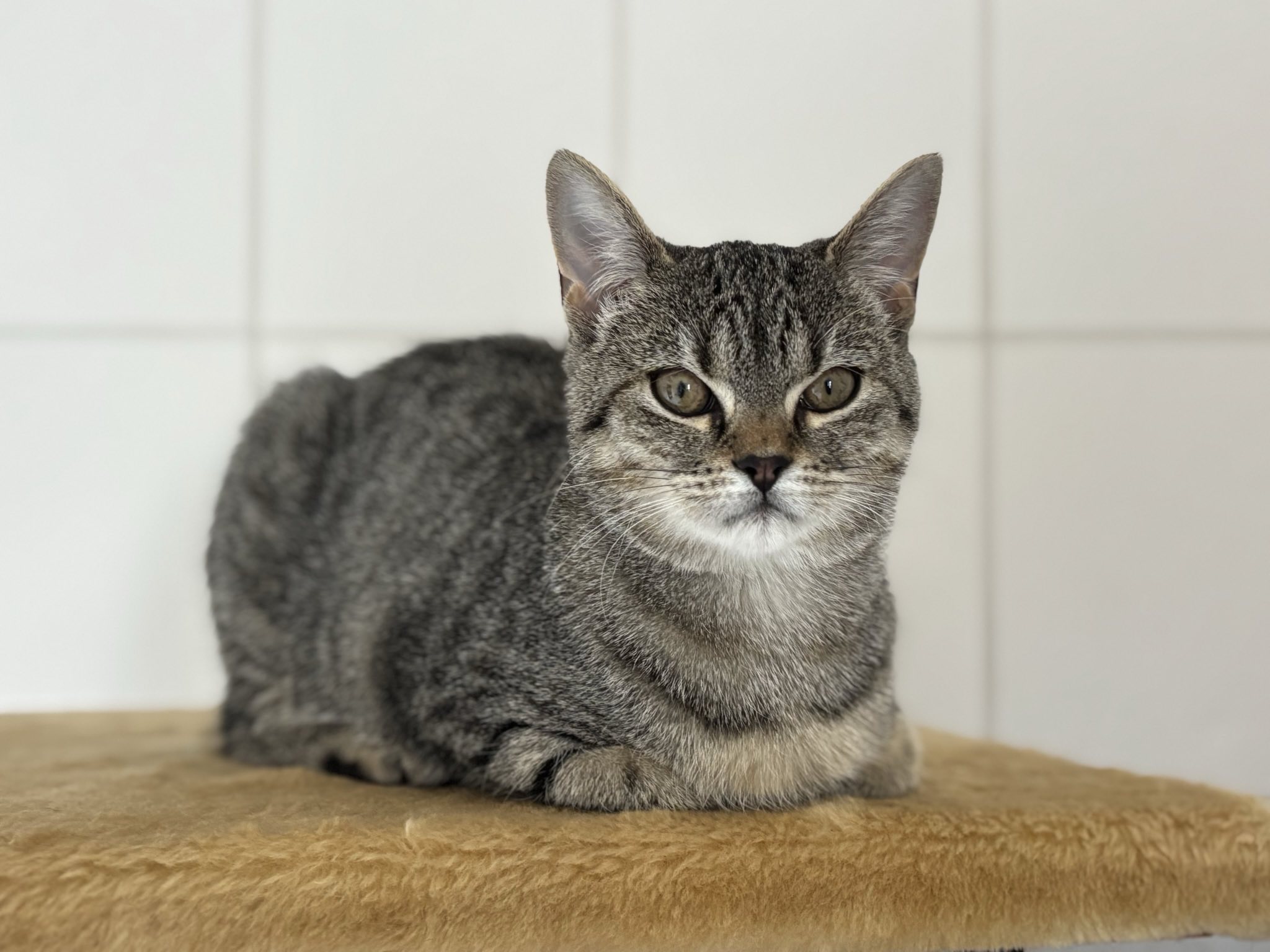 Gitti_signal-2025-04-21-130612-1.jpeg Gitti_signal-2025-04-21-130612-1.jpeg